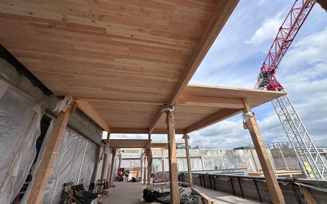 Why Use Douglas Fir & Other Glulam Species?