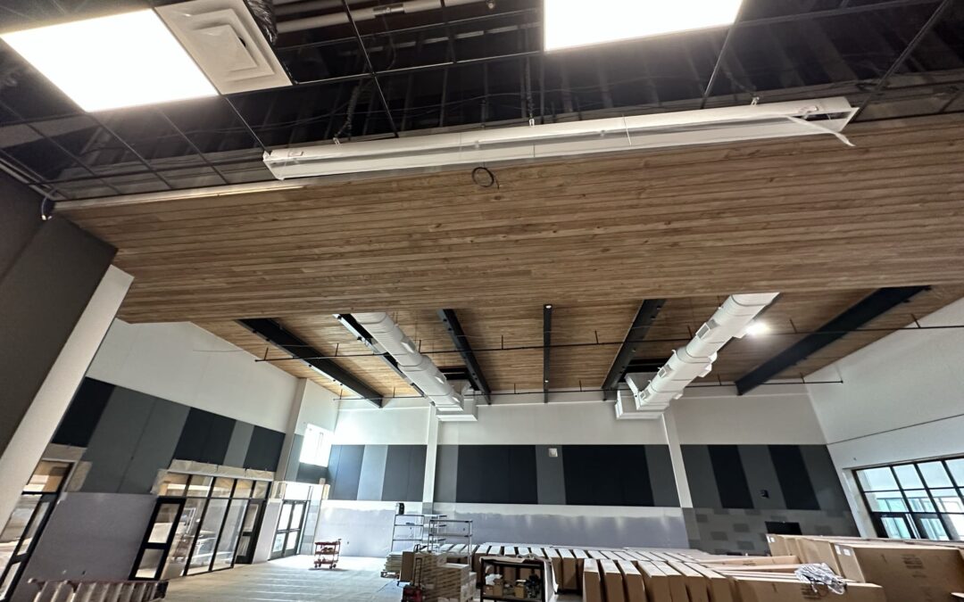 Glulam or CLT: Which is Best For Your Project?