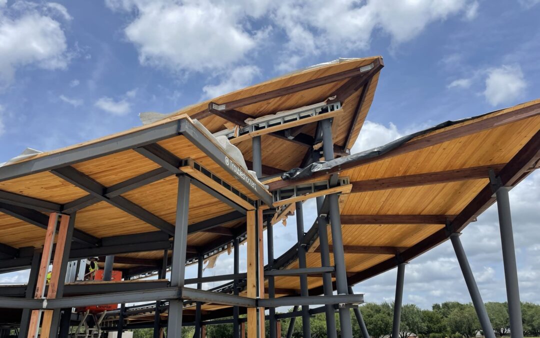 3 Types of Timber for Commercial Structures