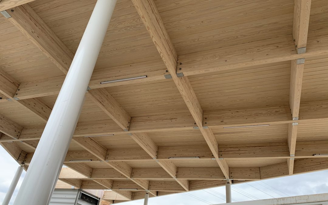 Exploring the Lifecycle of Mass Timber