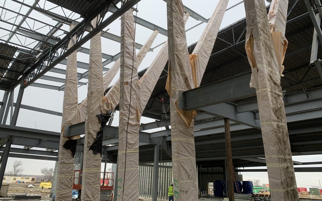 Building with Mass Timber: 4 Great Benefits
