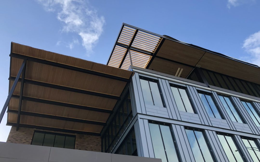 Mass Timber Skyscrapers and Their Rapid Rise