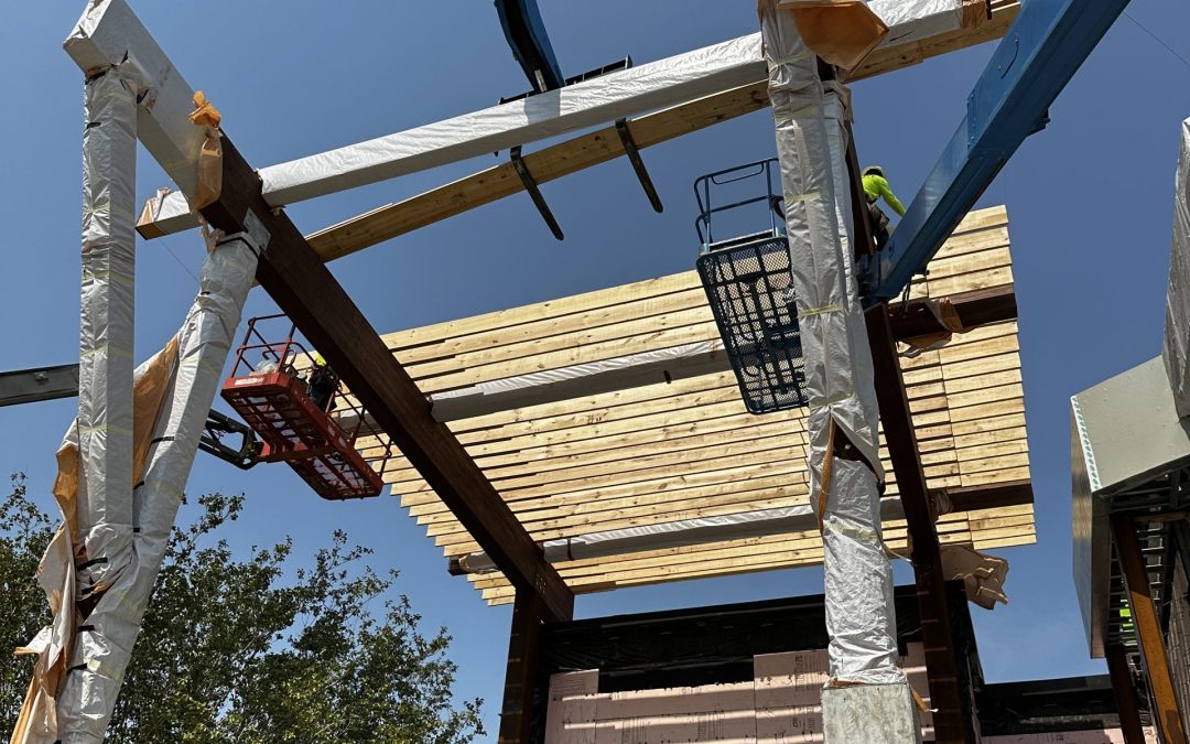 When Did Timber Frame Construction Start?
