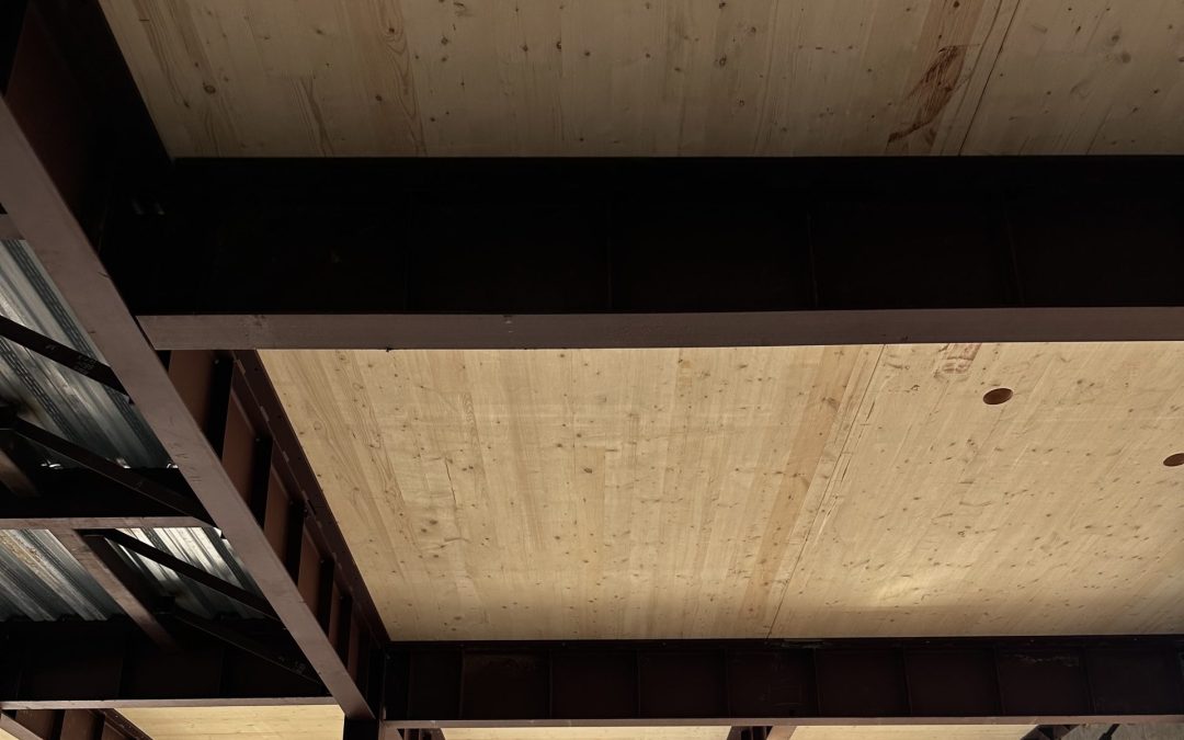 Mass Timber vs Traditional Timber