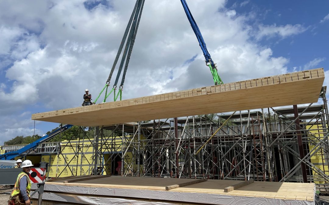 Mass Timber Modular Construction: Fast & Sustainable