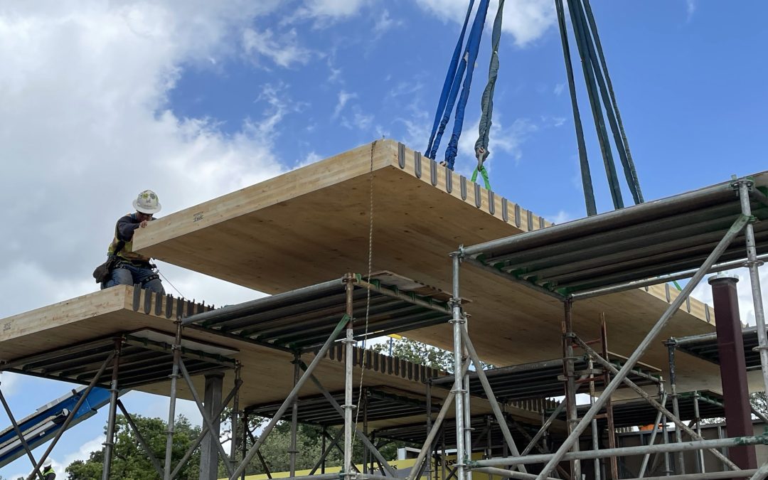 Cross-Laminated Timber Panels & Their Effect on Construction