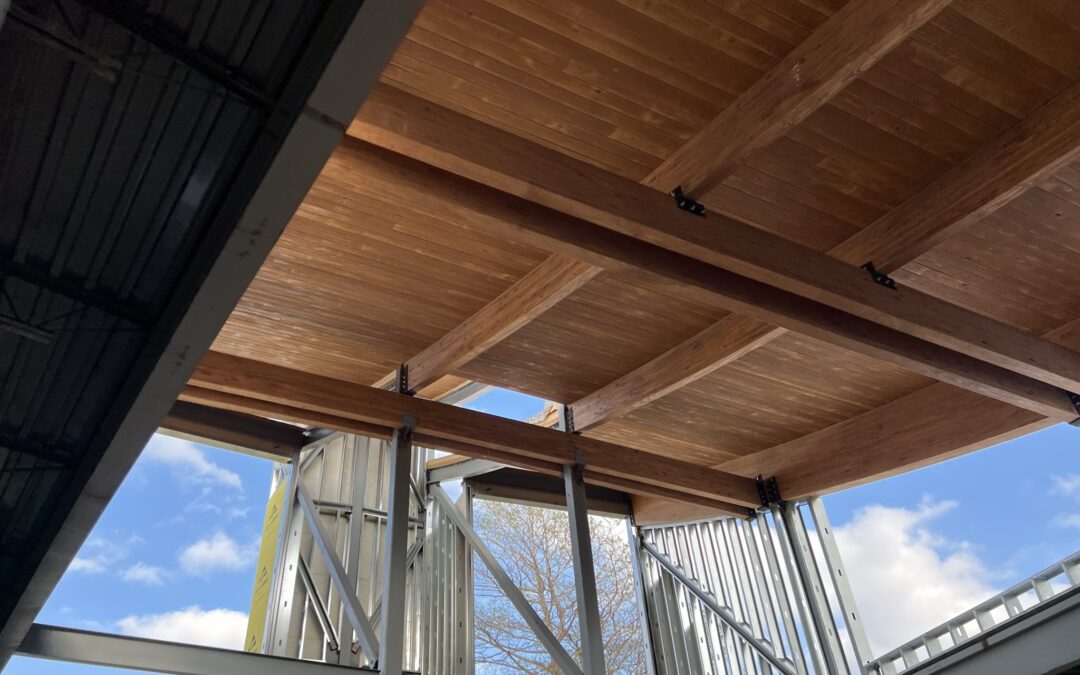 How CLT and Glulam Work Together in Mass Timber Construction
