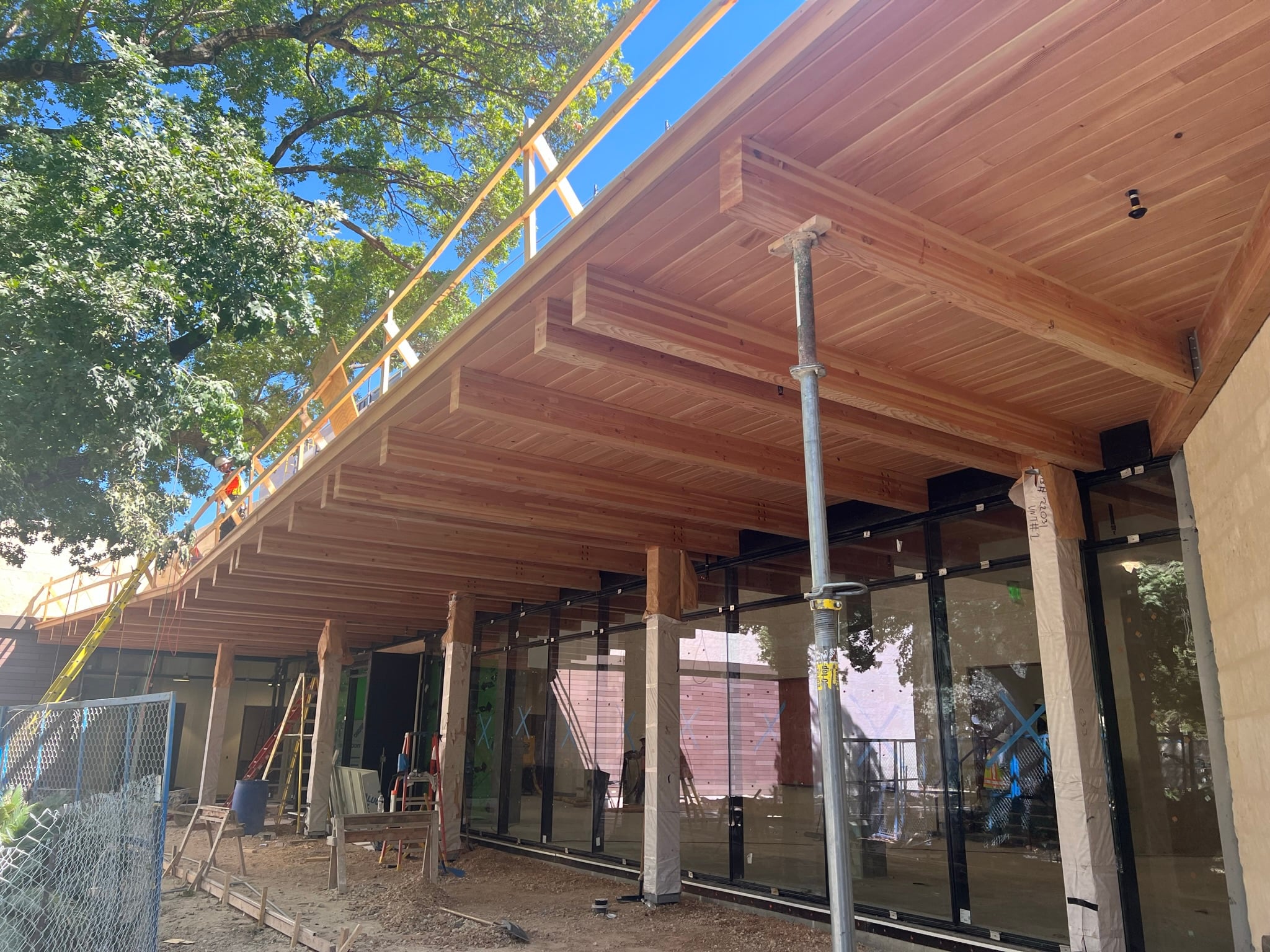 Mass timber construction featuring exposed engineered wood beams and timber decking above a modern commercial building